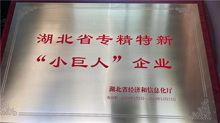 仕全兴荣获湖北省专精特新“小巨人”企业